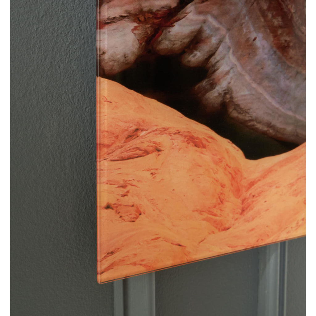 Deemsdon Wall Art 48.00 x 36.00