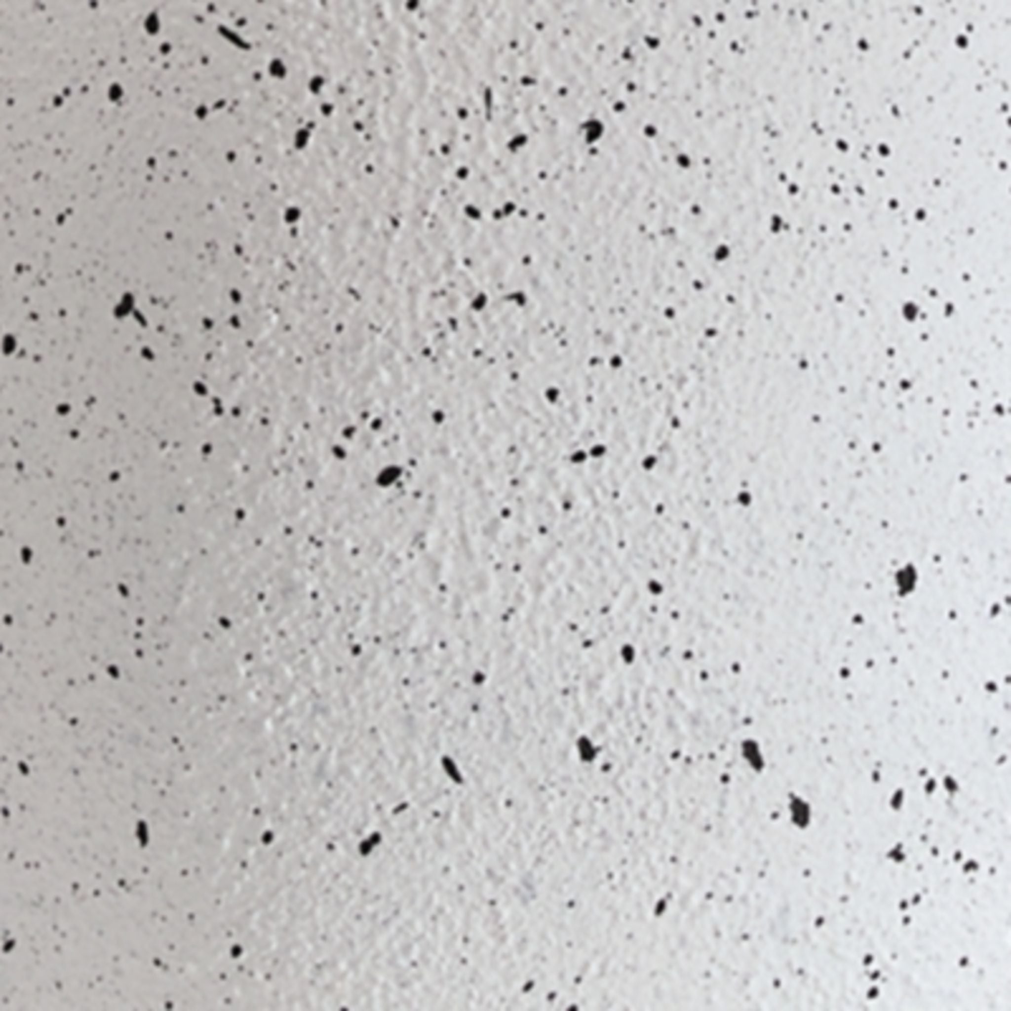 Wyattford Table Lamp 32.75