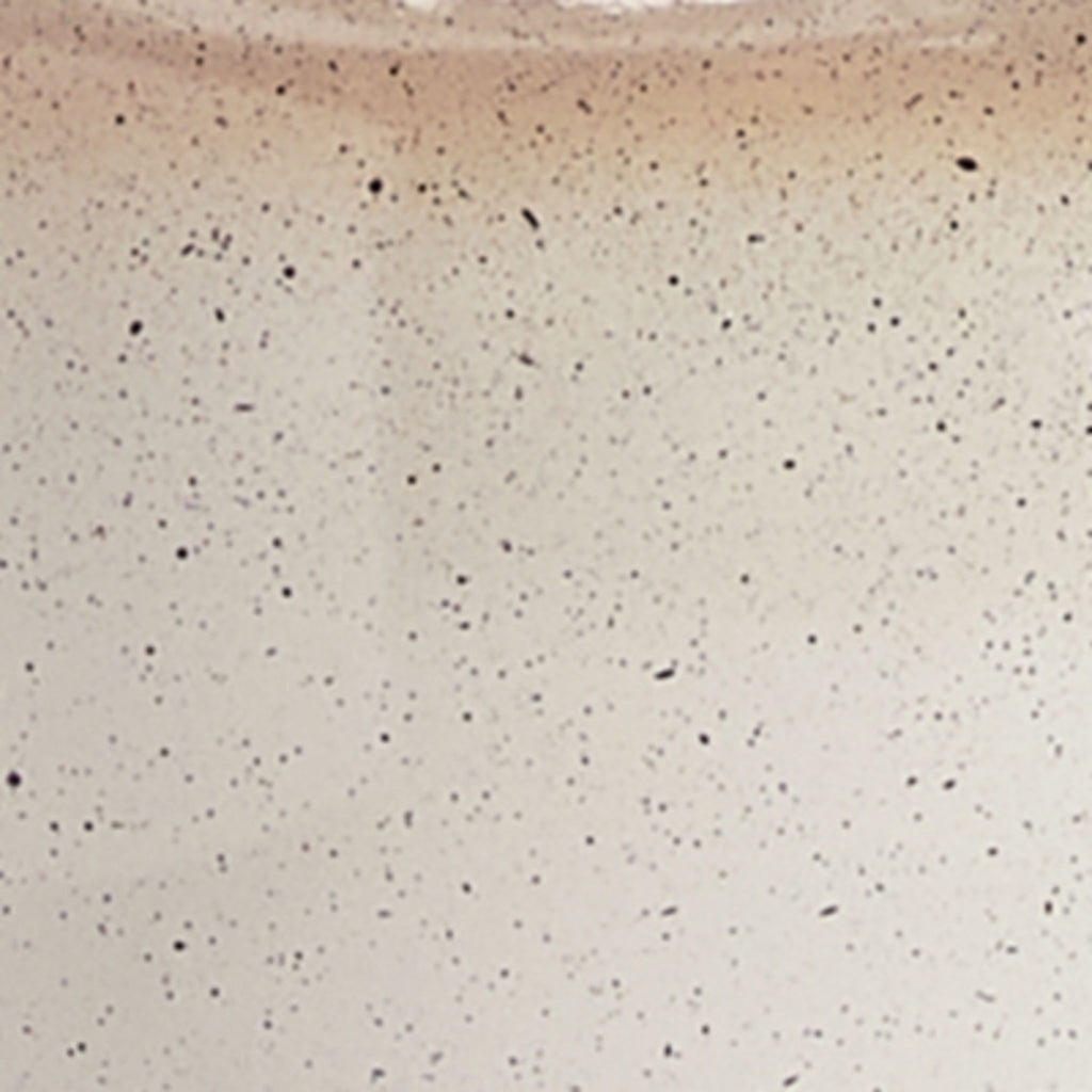 Waldish Table Lamp 19.13