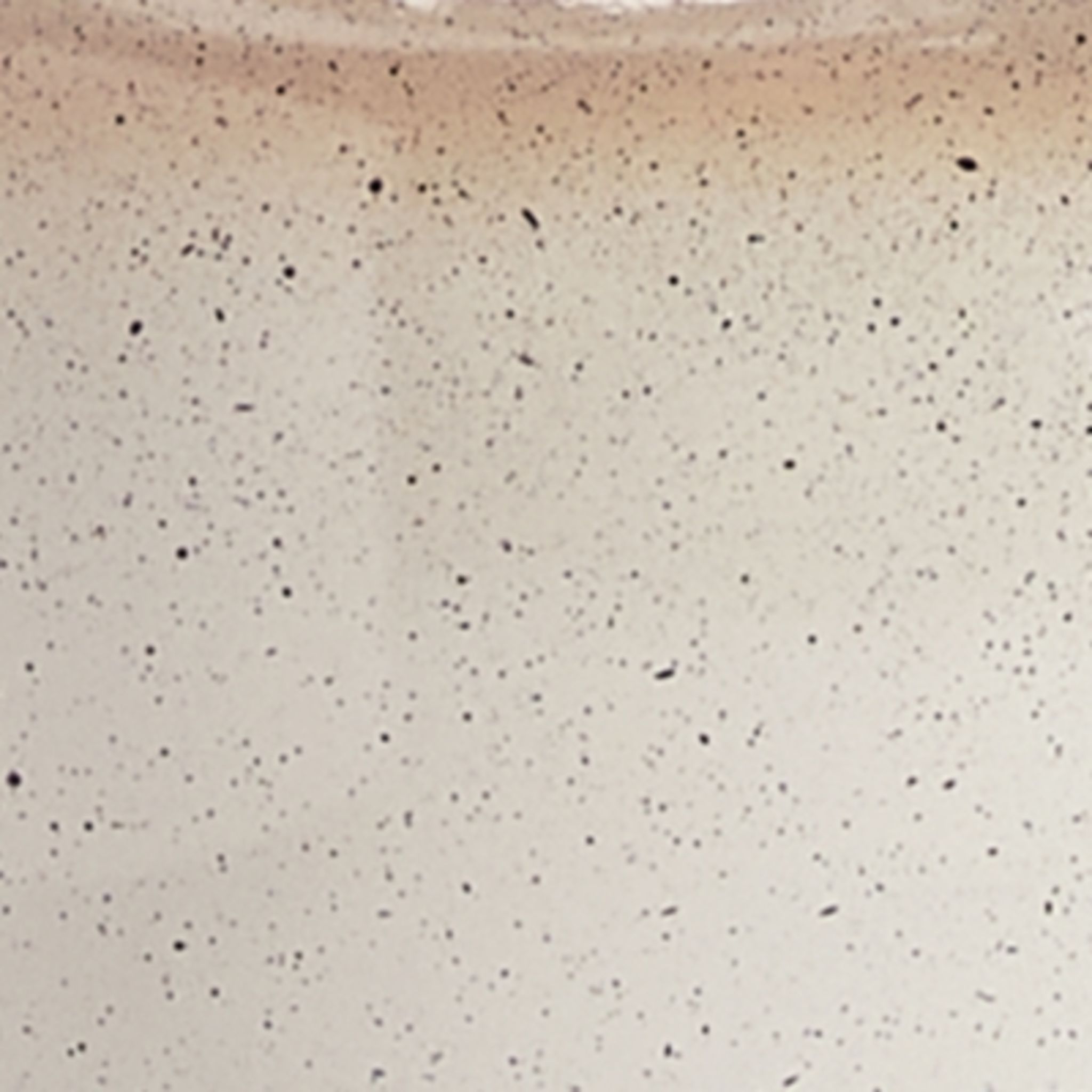 Waldish Table Lamp 19.13