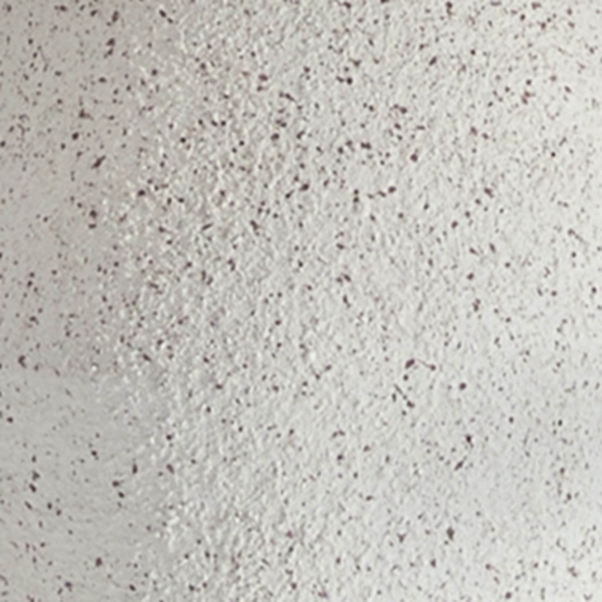 Dawthorne Table Lamp 23.00