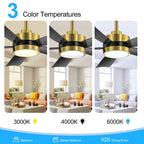 Breezary 65/52/42 5-Blade LED Ceiling Fan with Light Kit and Remote