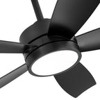 Breezary 65/52/42 5-Blade LED Ceiling Fan with Light Kit and Remote