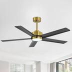 Breezary 65/52/42 5-Blade LED Ceiling Fan with Light Kit and Remote