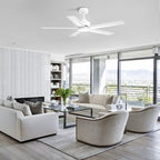 Breezary 65/52/42 5-Blade LED Ceiling Fan with Light Kit and Remote