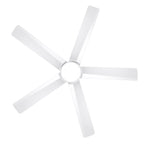 Breezary 65/52/42 5-Blade LED Ceiling Fan with Light Kit and Remote