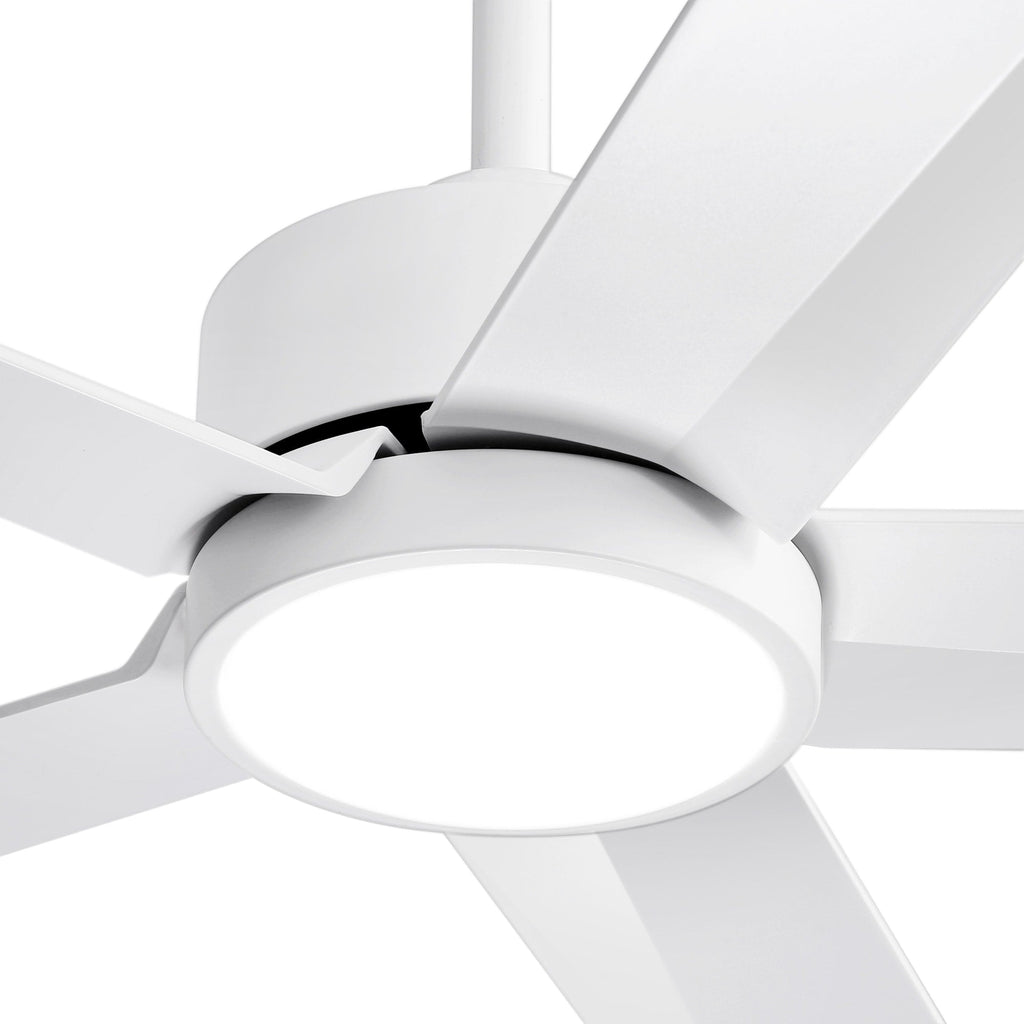 Breezary 65/52/42 5-Blade LED Ceiling Fan with Light Kit and Remote