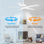 Breezary 65/52/42 5-Blade LED Ceiling Fan with Light Kit and Remote
