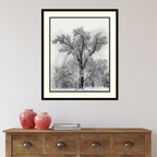Framed Art Print 'Oak Tree, Snowstorm, Yosemite National Park-1948' by Ansel Adams 27 x 32-inch