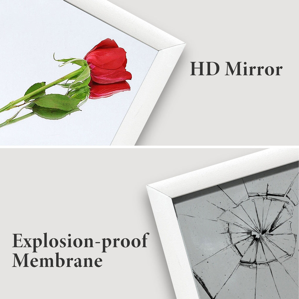 Full Length Mirror Large Wall Mounted Mirror Full Body Mirror