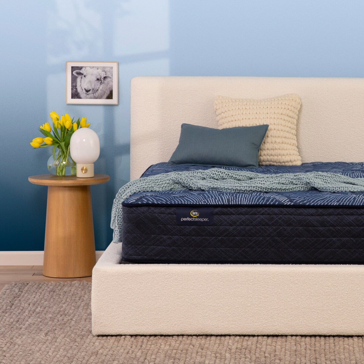 Serta Perfect Sleeper Oasis Sleep 12 Extra Firm Mattress