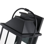 Brits Black Outdoor Wall Lantern Sconce Light