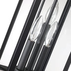 Brits Black Outdoor Wall Lantern Sconce Light