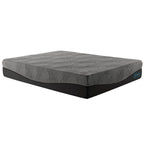 Slumber Solutions Active 14-inch Charcoal Memory Foam Mattress