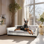 Velvet Tufted Couch Pet Bed Upholstered with Removable Cushion