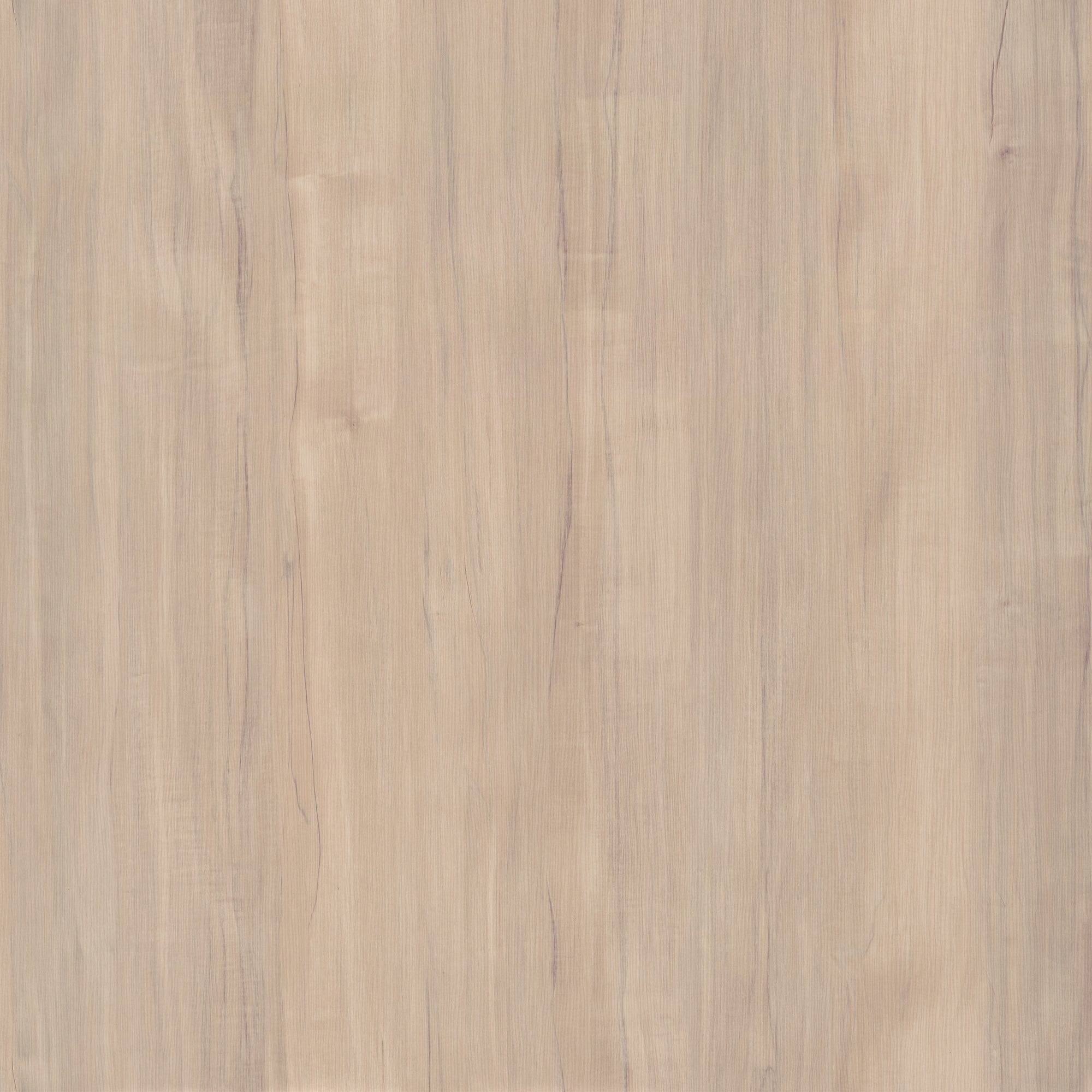 Woodland 40W Wall Mounted Coat Rack with Shelf by Bush Furniture